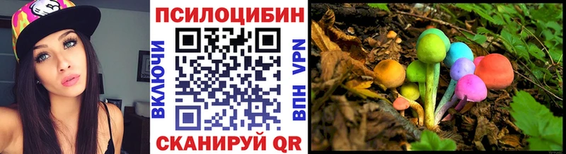 кракен зеркало  Коряжма  Галлюциногенные грибы Psilocybine cubensis 